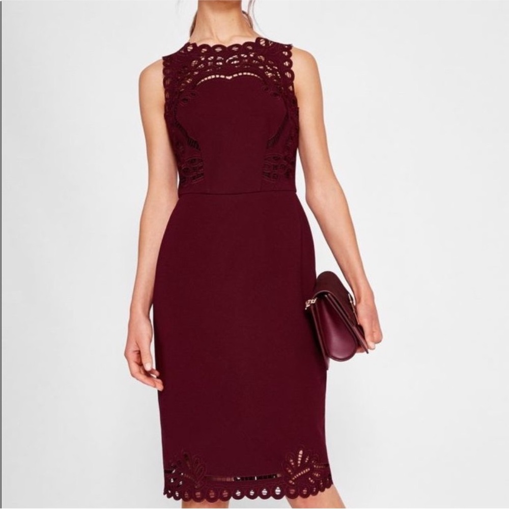 Ted Baker London Elegant Burgundy Lace Dress